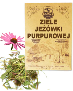 JEŹÓWKA PURPUROWA 50 G